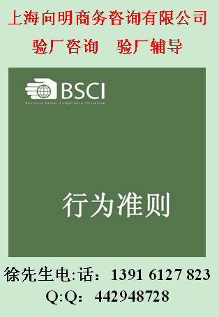 SGS验厂辅导BSCI验厂咨询BSCI认证