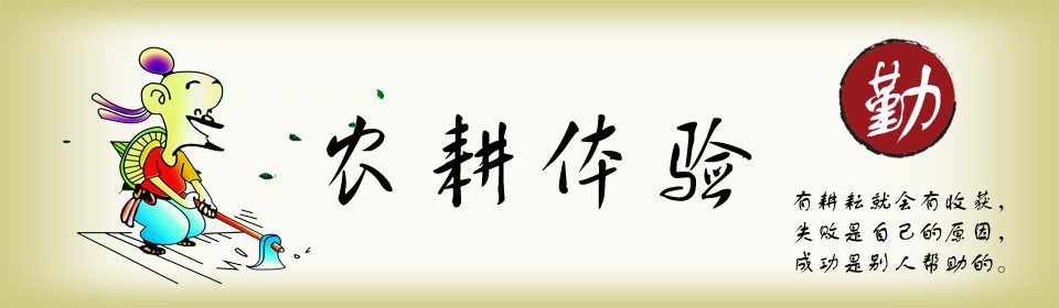 綠怡島假日農場—野炊、農耕體驗、團隊拓展活動