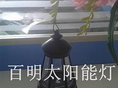 重庆太阳能草坪灯——福建高性价太阳能灯哪里有卖