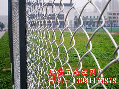 哪儿能买到好的菱形勾花网呢   衡水勾花网