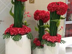 杭州公司花草 【荐】杭州{yl}的花卉租赁