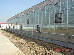 山东结实耐用的文络型温室大棚，搭建文络型温室大棚