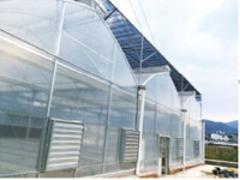 福建精良的温室大棚，福州温室大棚