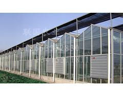 可靠的智能温室建造推荐 智能温室建造供应商