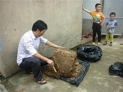 福州专业的白蚁灭治推荐_宁德白蚁灭治