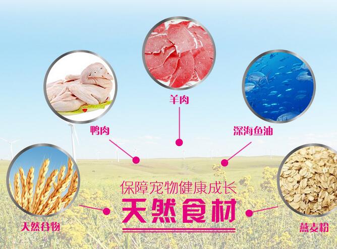 鄂尔多斯大型犬狗粮