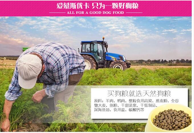 徐州中型犬狗粮