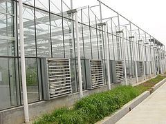 建造纹络式温室大棚_{yl}的纹络式温室大棚哪里有