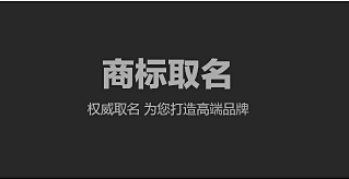 中国商标申请流程/武汉市大信智和