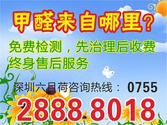 广东信誉好的室内空气治理公司当属深圳六月荷 福田深圳除甲醛