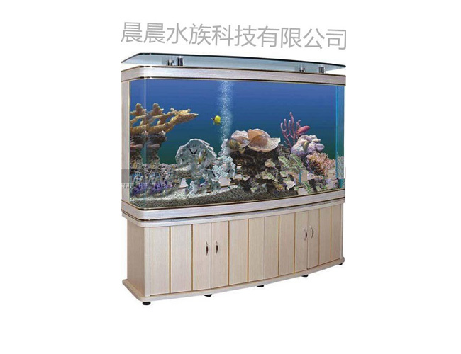 xx水族箱造景