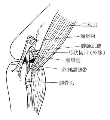 看价格看疗效 --泰安中医xx膝关节扭伤价格