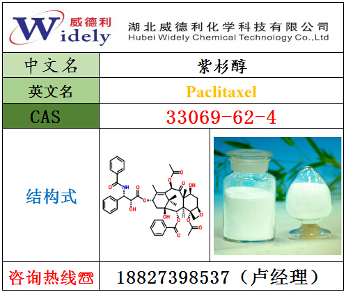 湖北威德利厂家现货供应紫杉醇33069-62-4，{zx1}市场价格动态