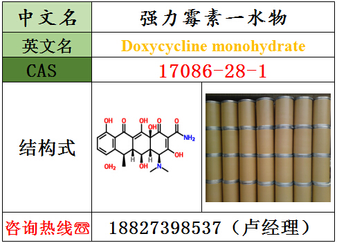 强力霉素一水物原料厂家丨湖北威德利{zx1}研发动态