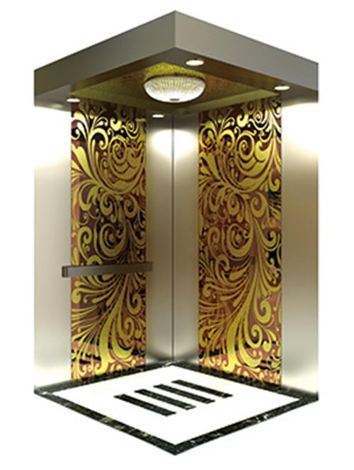 山东别墅电梯厂家\蒙阴安昌电梯