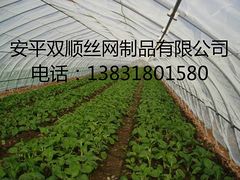 河北双顺的大棚防虫网生产厂家