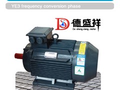 哪里可以买到信誉好的YE3超{gx}电动机，优质的YE3电动机