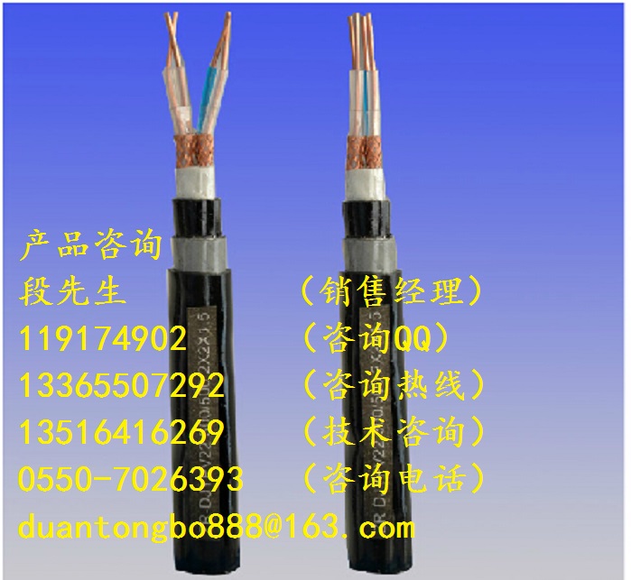 ZRC-DJFFRP22阻燃钢带铠装计算机屏蔽电缆