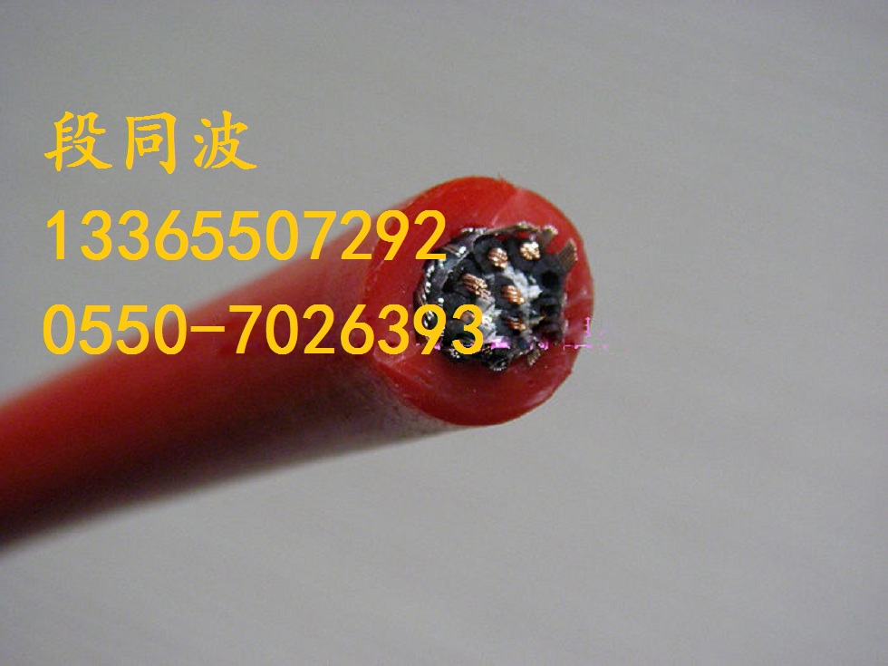 ZR-YGC-3*10+1*6阻燃硅橡胶电缆