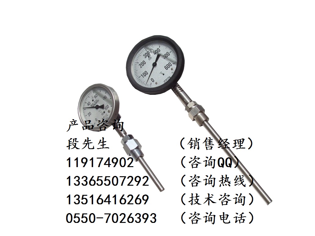 WSS-402可动内螺纹轴向双金属温度计