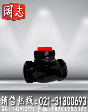 H14T-10鑄鐵絲扣止回閥