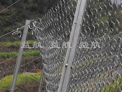 安徽边坡防护网_衡水物超所值的环形网【xx供应】