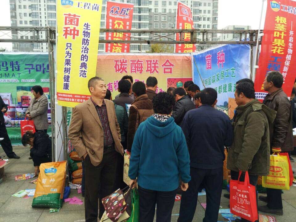 小麦植株不旺\上海荣吉明微生物工程