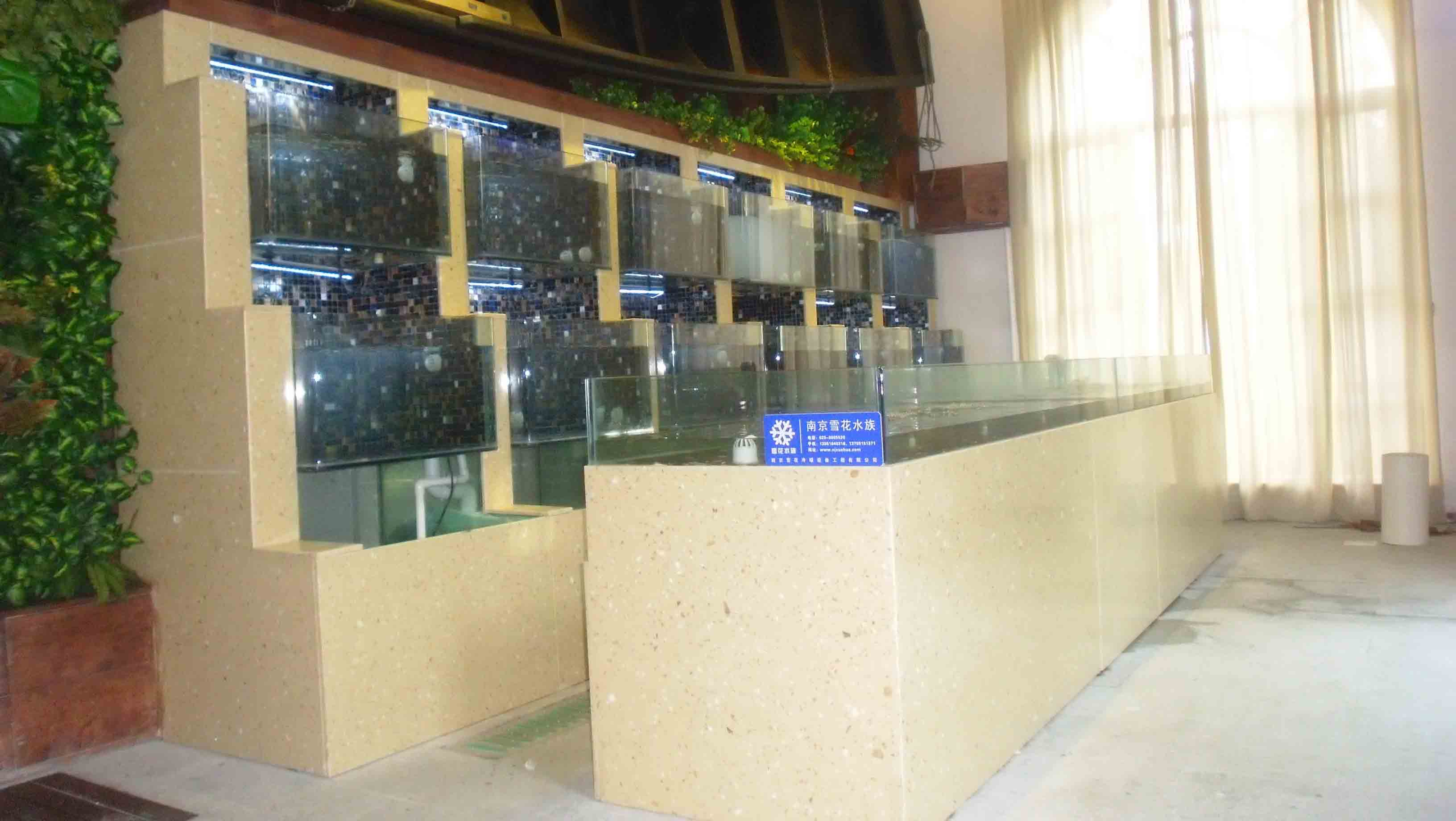 舟山水族公司批发