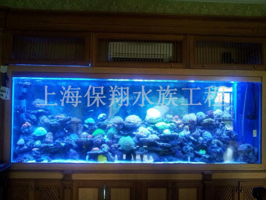 韩城酒店海鲜池