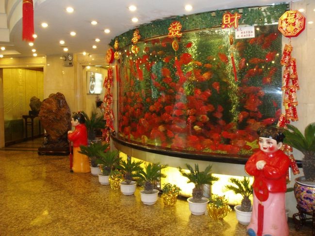 龙鱼鱼缸价格