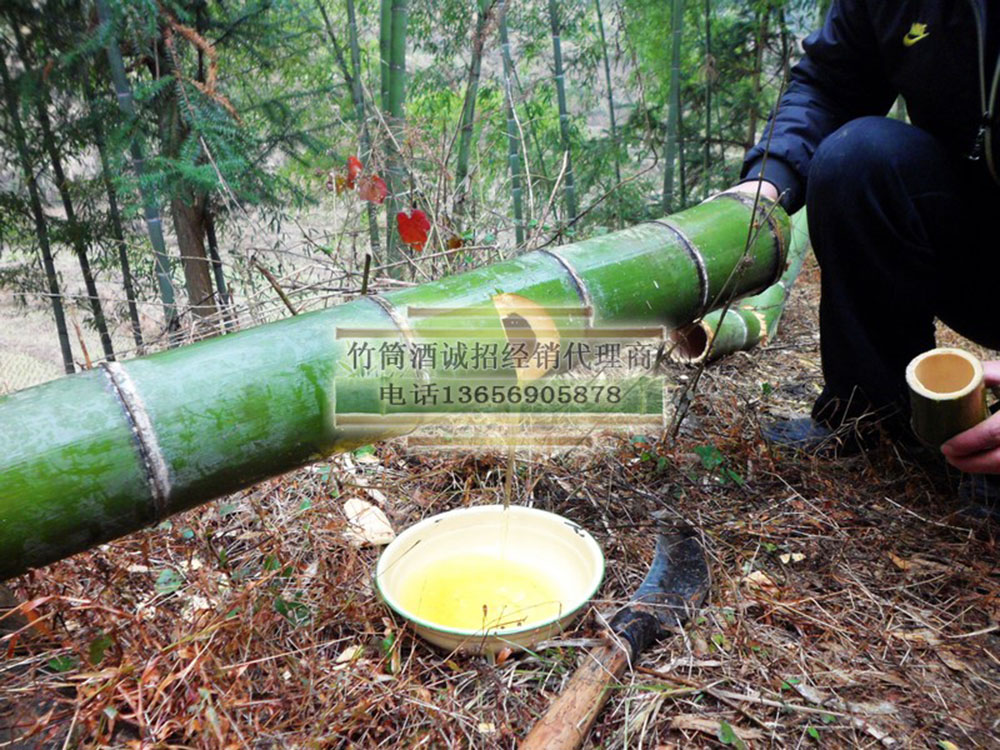 福建竹筒酒厂家宁化竹子酒客家毛竹酒怎么装进去批发代理加盟价格图片