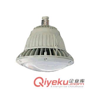 BED52防爆免维护节能灯(LED) 防爆防腐LED节能灯厂家 隔爆灯LED灯配件