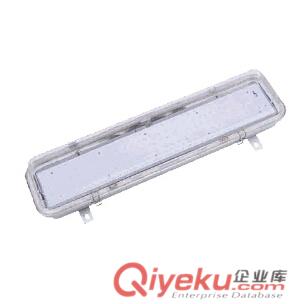 BLD防爆灯(LED) BLD120_LED防爆灯BLD190-50 LED防爆灯
