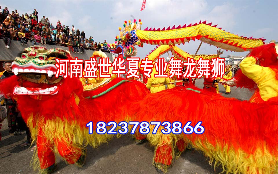汝阳舞龙舞狮