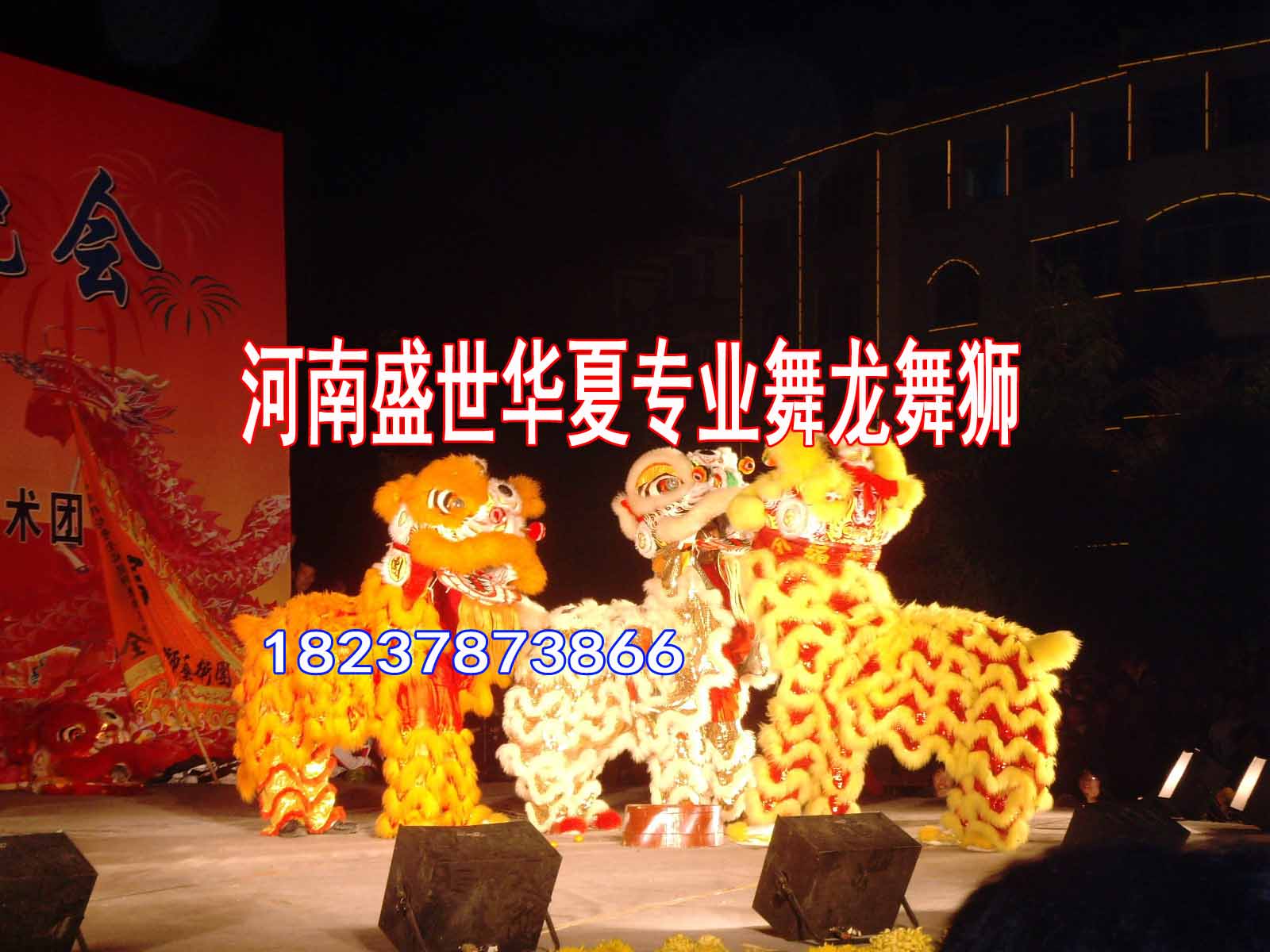 上杭县专业舞狮团