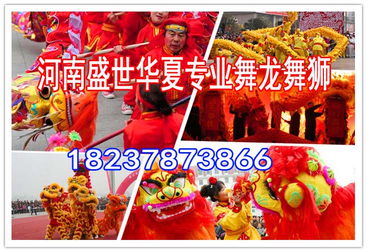 永丰专业舞龙