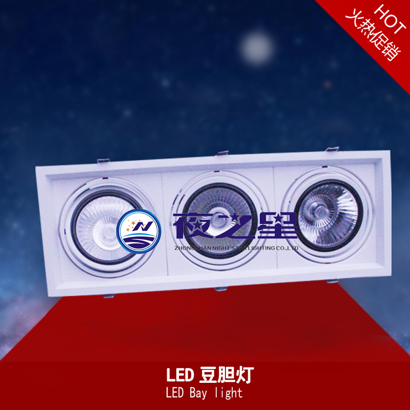 LED豆胆灯 LED Bay light 