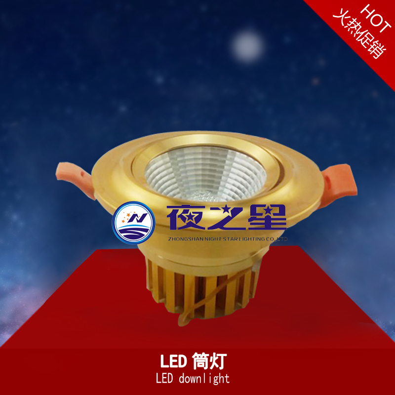 LED筒灯LED downlight