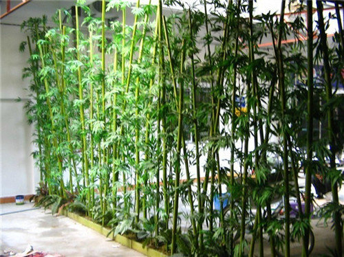 银川仿真植物厂家/13139591538
