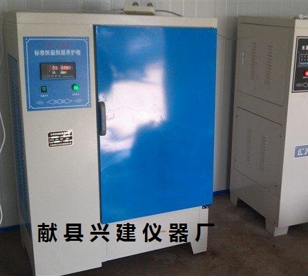 砼标养箱型号_水泥标养箱价格