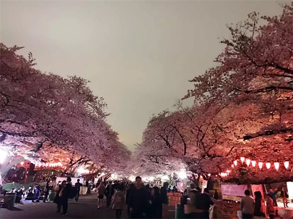 福清新概念外语培训学校_可靠的福清留学日语培训机构|南平留学日语培训