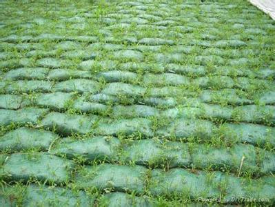 内蒙生态植被袋厂家/青海生态植被袋厂家