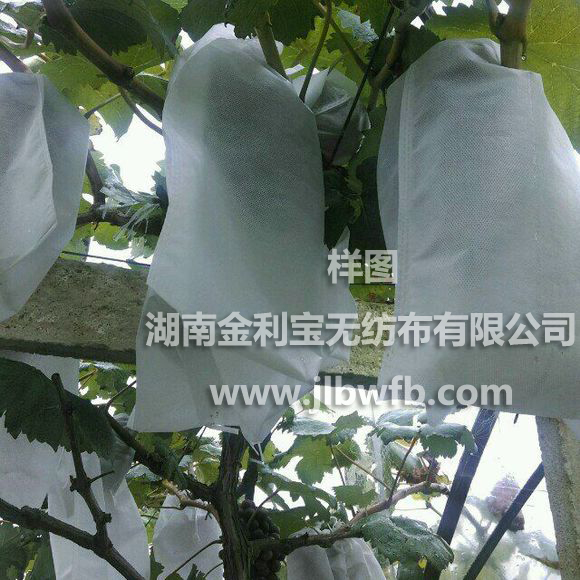 株洲无纺布袋供应商