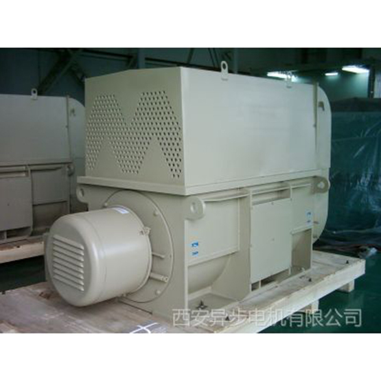 南陵西玛电机YKS6304-8 1600KW 6KV 740R高压电动机