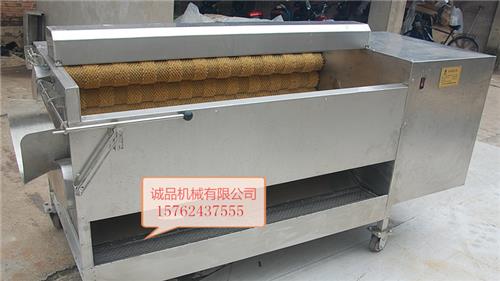 厂家直销洋葱清洗机 毛辊去皮清洗机
