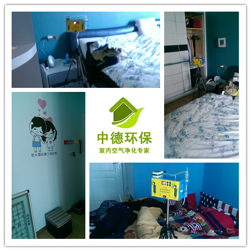 兴山有测甲醛的公司吗