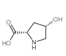 L-羟基脯氨酸