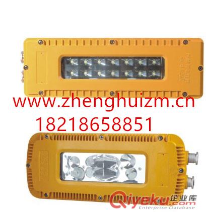 正辉DGS-LED12W/127VL(A)矿用隔爆型LED巷道灯