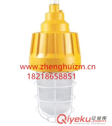正辉DGS70/127B(A)矿用隔爆型投光灯 
