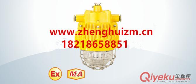 正辉DGS48/127L(A)矿用隔爆型LED巷道灯 